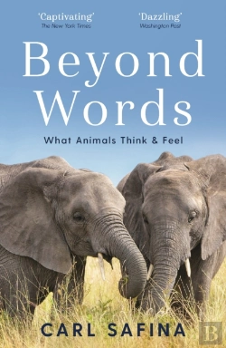 Bertrand.pt - Beyond Words