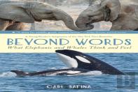 Beyond Words: What Elephants And Whales Think And Feel (A Young Reader'S Adaptation)