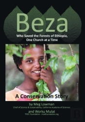Beza, Who Saved The Forests Of Ethiopia, One Church At A Time - A Conservation Story