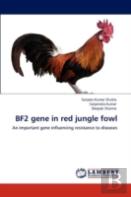 Bf2 Gene In Red Jungle Fowl