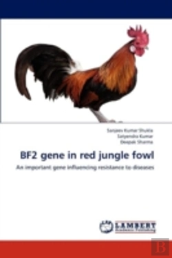 Bertrand.pt - Bf2 Gene In Red Jungle Fowl