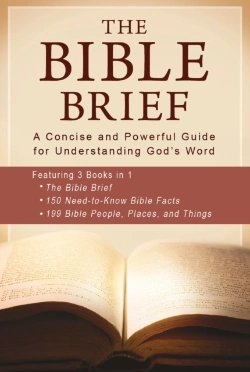 Bertrand.pt - Bible Brief