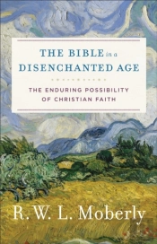 Bible In A Disenchanted Age (Theological Explorations For The Church Catholic)