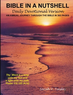 Bertrand.pt - Bible In A Nutshell, Daily Devotional Version