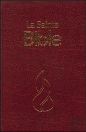 Bible Neg Famille Rigide Grenat