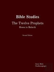 Bible Studies The Twelve Prophets Hosea To Malachi