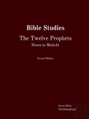 Bible Studies The Twelve Prophets Hosea To Malachi