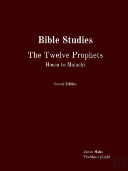 Bertrand.pt - Bible Studies The Twelve Prophets Hosea To Malachi