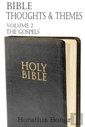 Bible Thoughts & Themes Volume 2 The Gospels