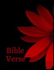 Bible Verse