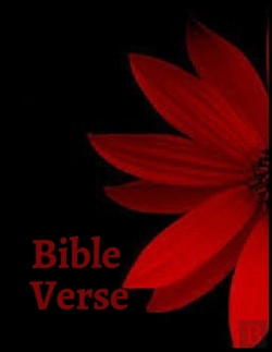 Bertrand.pt - Bible Verse