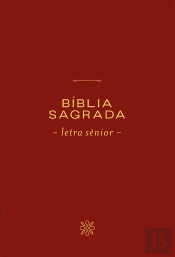 Bíblia Nvi, Letra Sênior, Capa Vinho