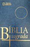 Bíblia Sagrada Média (Várias Cores)