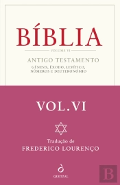 Bíblia - Volume VI