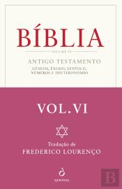 Bíblia - Volume VI