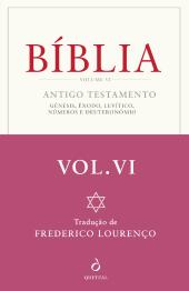 Bíblia - Volume VI