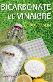 Bicarbonate Et Vinaigre : Le Duo Malin