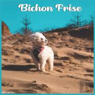 Bichon Frise 2022 Calendar