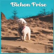 Bichon Frise 2022 Calendar