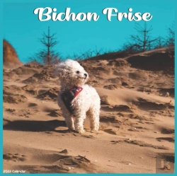 Bertrand.pt - Bichon Frise 2022 Calendar