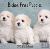 Bichon Frise Puppies 2021 Wall Calendar