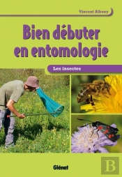 Bien Débuter En Entomologie