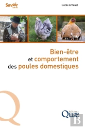 Bien-Être Et Comportement Des Poules Domestiques