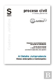 Bienes Embargables E Inembargables