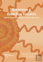 Bienestar Y Derechos Sociales. Algunas Reflexiones Vigentes Desde La Academia