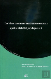 Biens Communs Environnementaux : Quel(S) Statut(S) Juridique(S)?