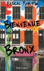 Bienvenue Dans Le Bronx