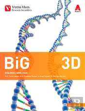 Big 3d Balears (Quadern Diversitat) Aula 3d