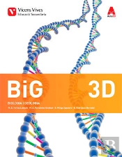 Big 3d (Quadern Diversitat) Aula 3d