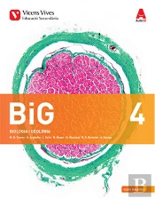 Big 4 Balears+ Big 4 Balears Dossier