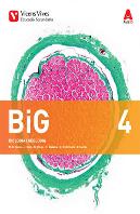 Big 4+ Big 4 Dossier