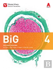 Big 4+ Big 4 Dossier