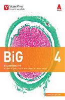 Big 4 Valencia+ Big 4 Valencia Dossier
