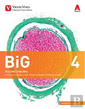 Big 4 Valencia+ Big 4 Valencia Dossier