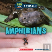 Big And Small: Amphibians (Wild World)