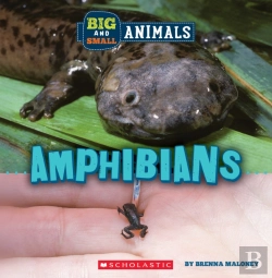 Bertrand.pt - Big And Small: Amphibians (Wild World)