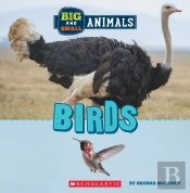 Big And Small: Birds (Wild World)