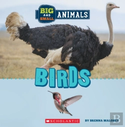 Bertrand.pt - Big And Small: Birds (Wild World)