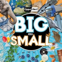 Bertrand.pt - Big And Small
