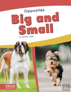 Bertrand.pt - Big And Small