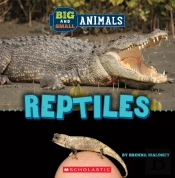 Big And Small: Reptiles (Wild World)