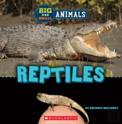Bertrand.pt - Big And Small: Reptiles (Wild World)