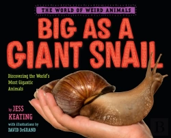 Bertrand.pt - Big As A Giant Snail