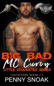 Big Bad Mc Curvy Little Soulmates Series Collection