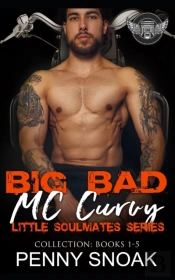 Big Bad Mc Curvy Little Soulmates Series Collection