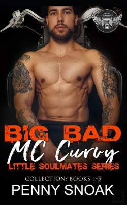 Bertrand.pt - Big Bad Mc Curvy Little Soulmates Series Collection